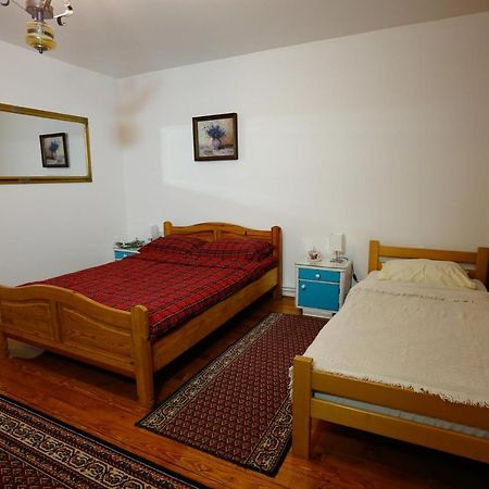 Zaječar Apartman Carpe Diem מראה חיצוני תמונה